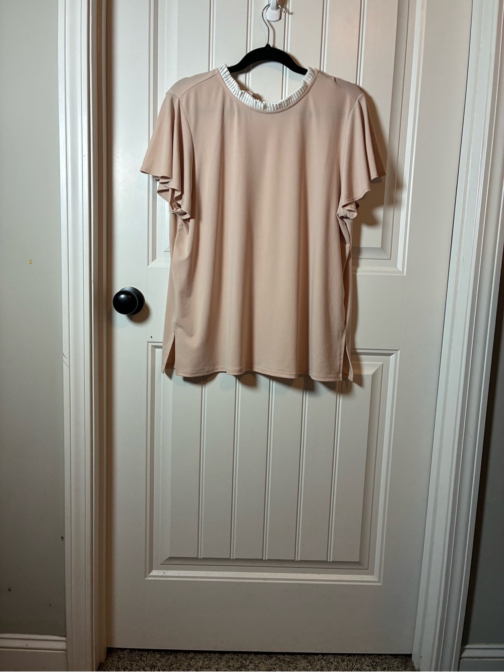 Adrianna Papell Blush Ruffle Trim Flutter Sleeve Top XL